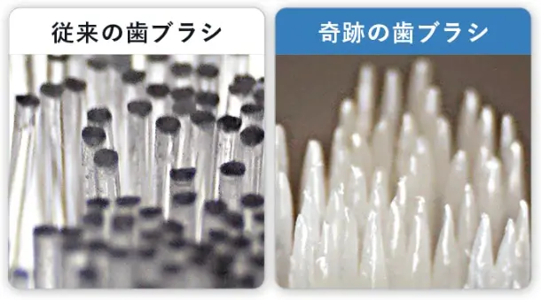 毛の先端はテーパー加工